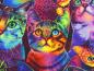 Preview: Patchworkstoff mit Katzen in Neonfarben Detailansicht